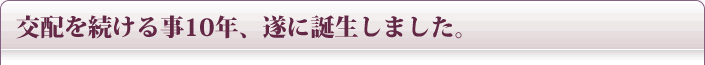 交配を続ける事10年
