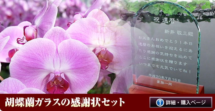 胡蝶蘭ガラスの感謝状セット