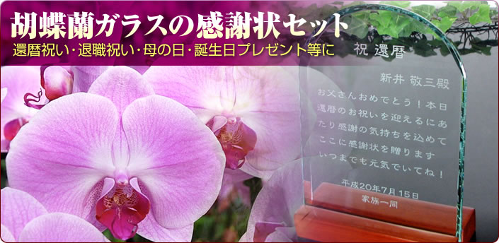胡蝶蘭ガラスの感謝状セット