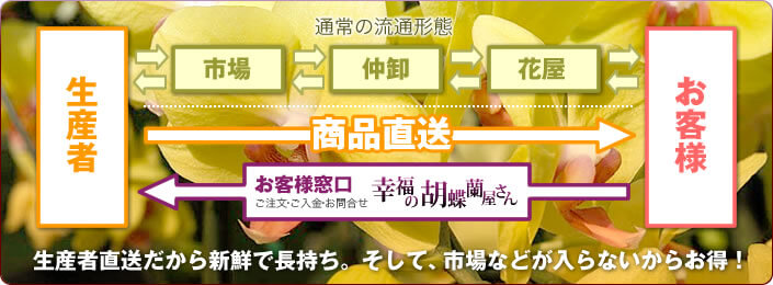 生産者直送だから新鮮で長持ち。そして、市場などが入らないからお得！