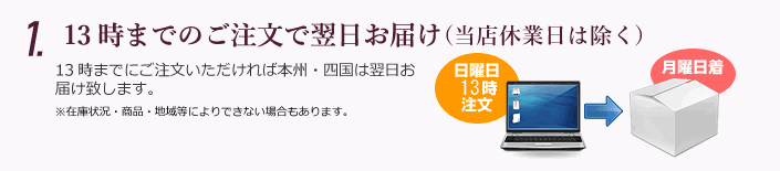 13時までのご注文で翌日お届け（当店休業日は除く）