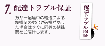 配達トラブル保証