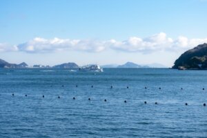 旅館胡蝶蘭の近く鳥羽の海