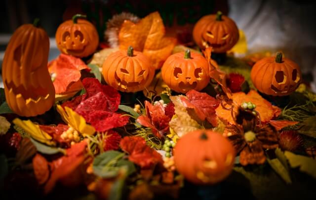 ハロウィンに胡蝶蘭を飾る