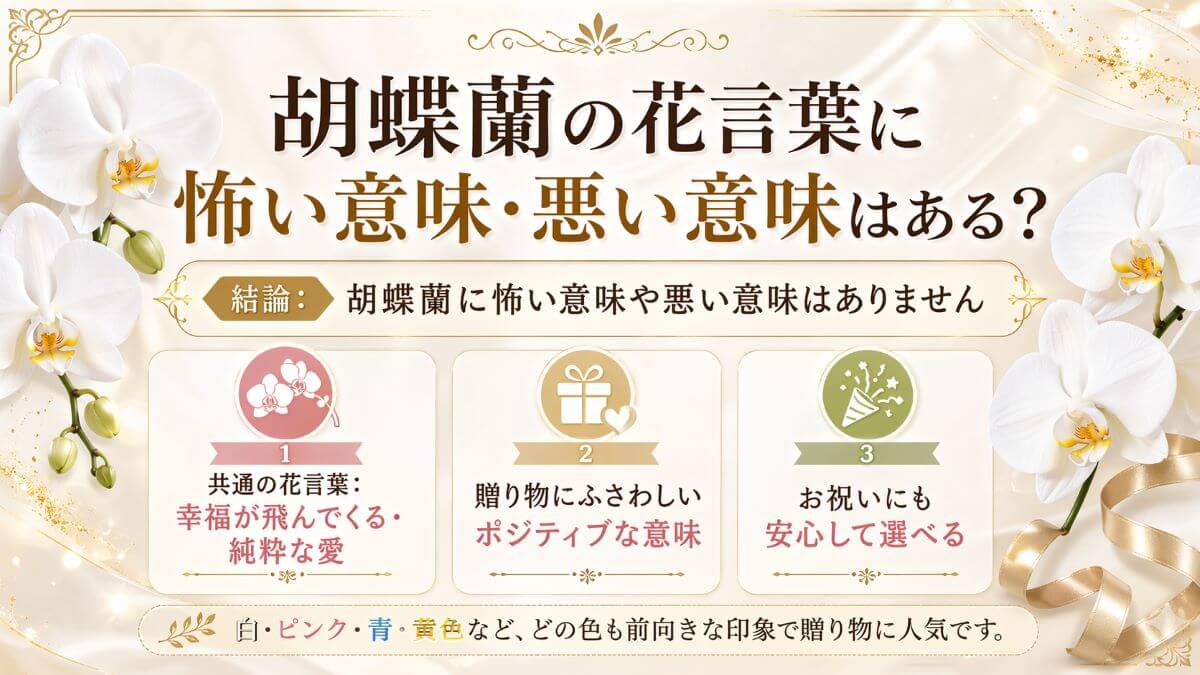胡蝶蘭の花言葉に怖い意味・悪い意味はある？