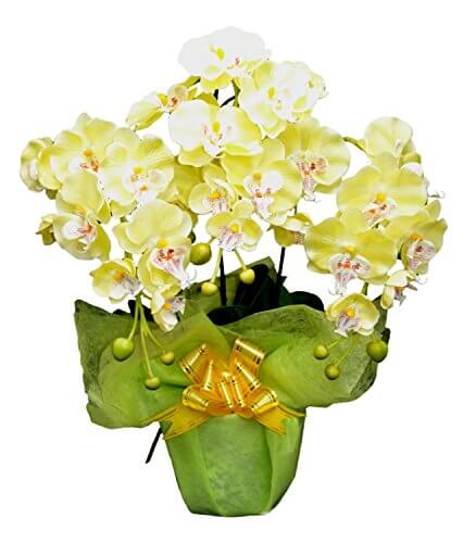 光触媒(造花)の胡蝶蘭3本立ち黄色