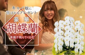 キャバ嬢が誕生日プレゼントに貰って嬉しい贈り物第1位・胡蝶蘭