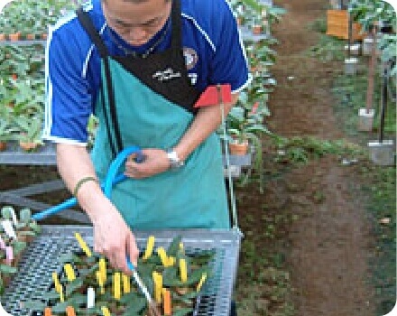 当店契約生産者(農家)の紹介の写真