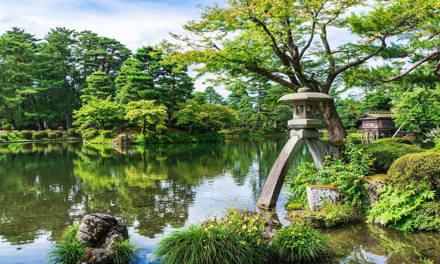 胡蝶蘭を石川県へ配送 | 胡蝶蘭ギフト通販の幸福の胡蝶蘭屋さん