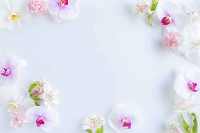 生花の胡蝶蘭