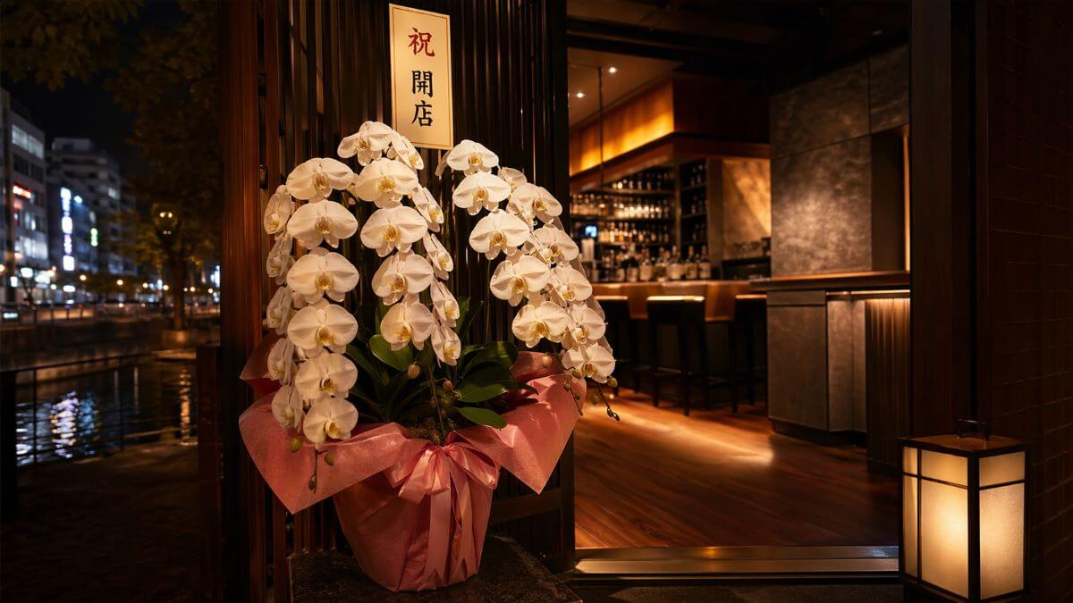 流川・薬研堀の飲食店・クラブへの開店祝いの白い胡蝶蘭