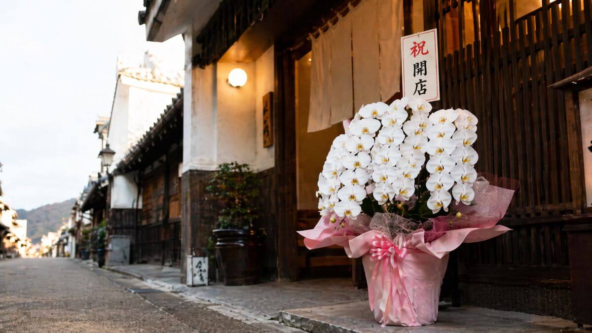 「うだつの町並み」の飲食店への開店祝いの白い胡蝶蘭
