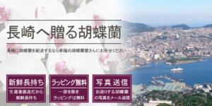 長崎県へ胡蝶蘭を配送