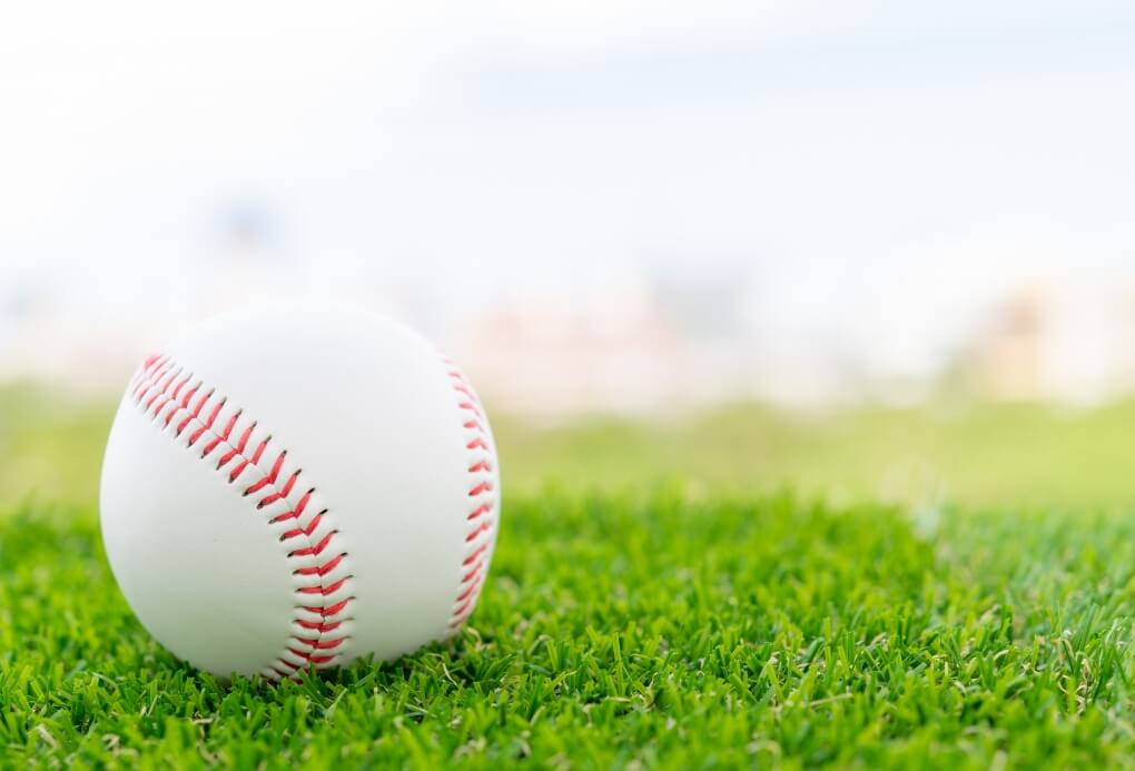 甲子園 用途から胡蝶蘭を選ぶ