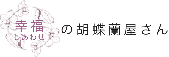 幸福の胡蝶蘭屋さん