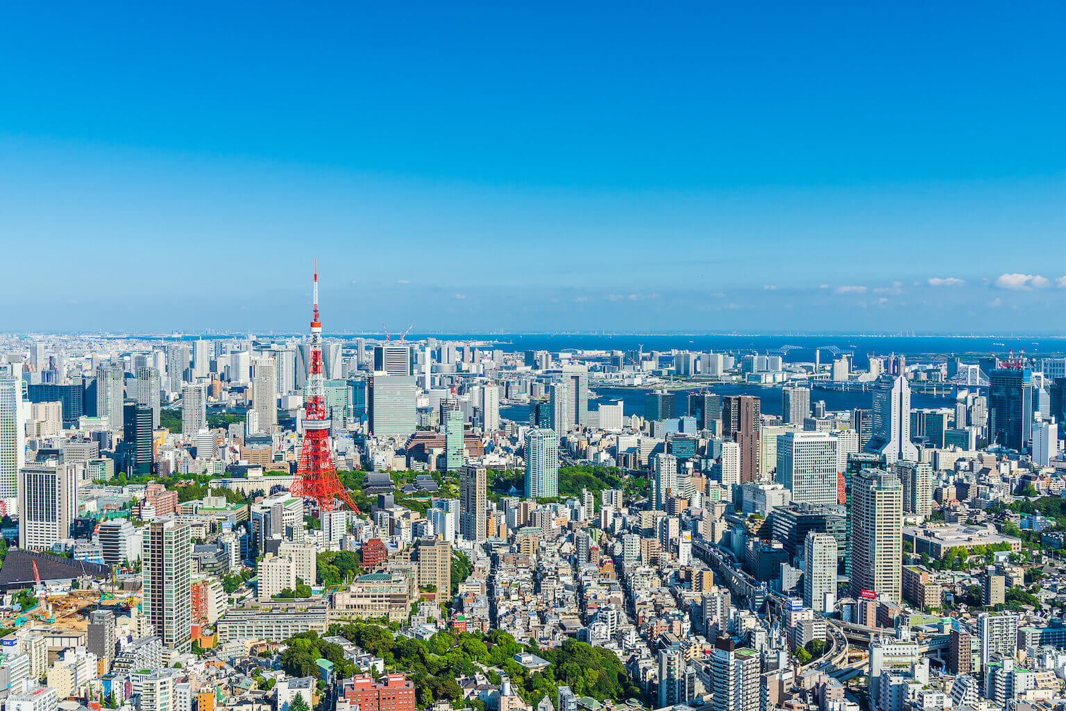 銀座へ胡蝶蘭を配送するなら幸福の胡蝶蘭屋さん | 胡蝶蘭ギフト通販の幸福の胡蝶蘭屋さん