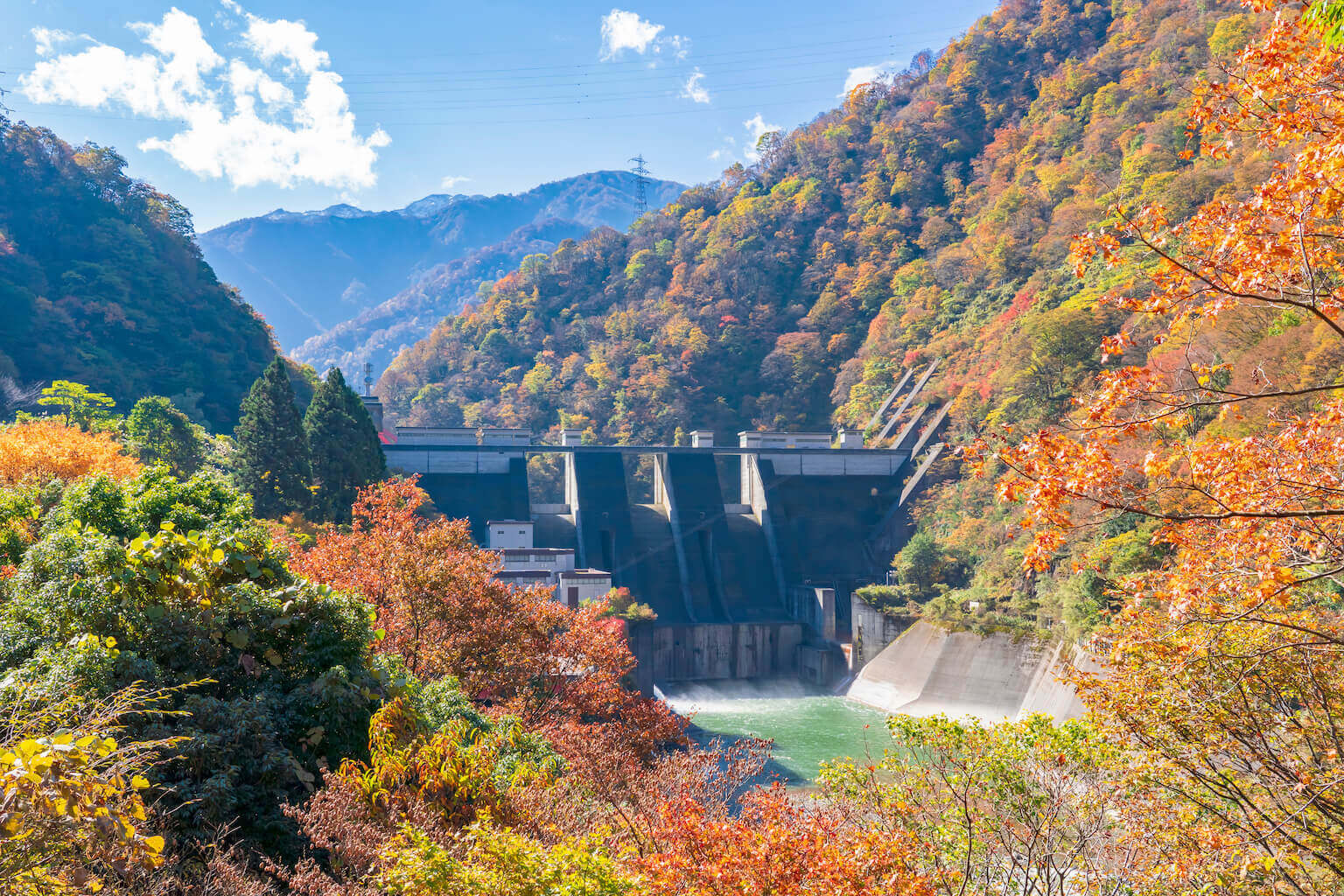 胡蝶蘭を富山県へ配送 | 胡蝶蘭ギフト通販の幸福の胡蝶蘭屋さん